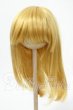 画像1: 9-10inch/ウィッグ Y-26-02-18-180-WT-ZY (1)