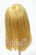画像2: 9-10inch/ウィッグ Y-26-02-18-180-WT-ZY (2)