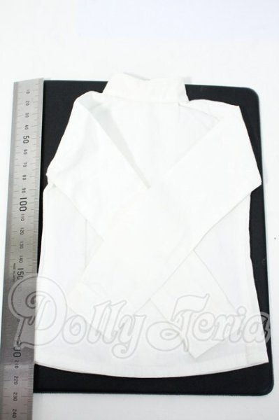 画像2: SD17B/OF:トップス Y-26-02-25-178-WT-ZY (2)