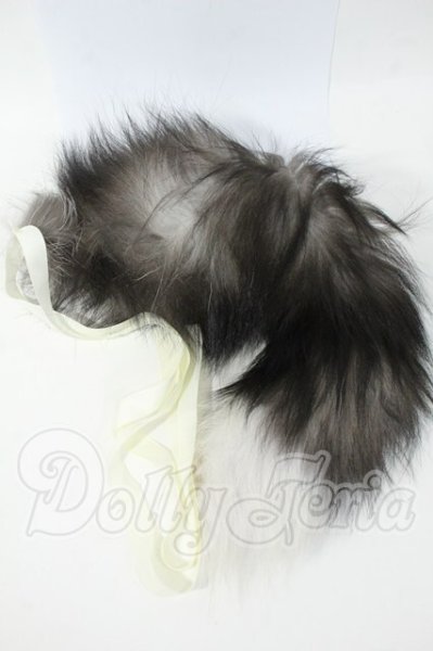 画像1: SD17B/OF:小物 Y-26-02-25-066-WT-ZY (1)