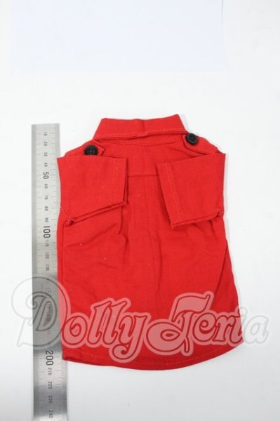 画像2: SD17B/OF:トップス Y-26-02-25-180-WT-ZY (2)