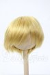 画像1: 6-7inch/ウィッグ Y-26-03-04-277-WT-ZY (1)