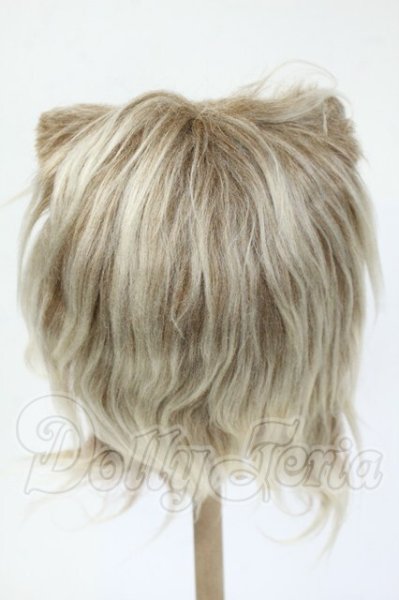 画像2: 8-9inch/ウィッグ Y-26-02-25-249-WT-ZY (2)