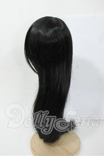 画像2: 8-9inch/ウィッグ Y-26-03-04-081-WT-ZY (2)