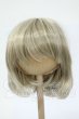 画像1: 8-9inch/ウィッグ Y-26-02-25-250-WT-ZY (1)