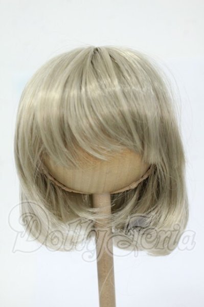 画像1: 8-9inch/ウィッグ Y-26-02-25-250-WT-ZY (1)