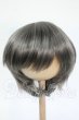 画像1: 8-9inch/ウィッグ Y-26-02-25-285-WT-ZY (1)