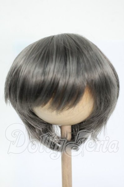 画像1: 8-9inch/ウィッグ Y-26-02-25-285-WT-ZY (1)