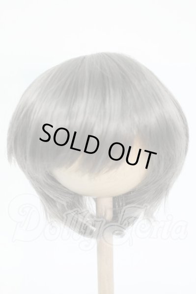 画像1: 8-9inch/ウィッグ Y-26-02-25-285-WT-ZY (1)