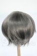 画像2: 8-9inch/ウィッグ Y-26-02-25-285-WT-ZY (2)