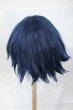 画像2: 8-8.5inch/ウィッグ Y-26-03-04-076-WT-ZY (2)