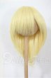 画像1: 7-8inch/ウィッグ Y-26-03-04-069-WT-ZY (1)