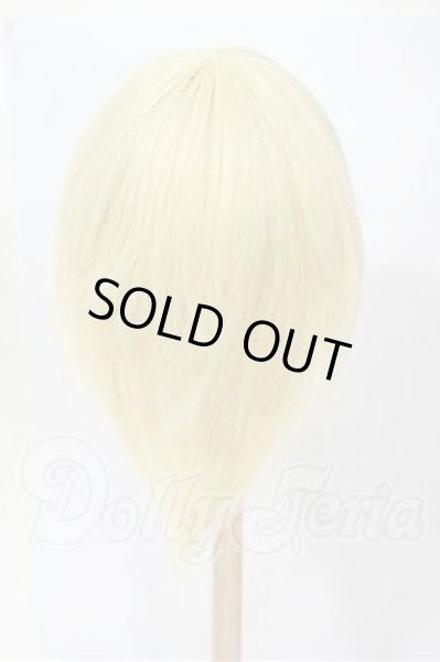 画像2: 7-8inch/ウィッグ Y-26-03-04-069-WT-ZY (2)