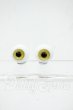画像1: 15mm/グラスアイ Y-26-03-04-109-WT-ZY (1)