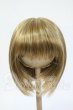 画像1: 9inch/ウィッグ Y-26-02-25-244-WT-ZY (1)
