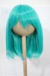画像1: 7-8inch/ウィッグ Y-26-03-04-070-WT-ZY (1)