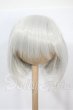画像1: 7-8inch/ウィッグ Y-26-03-04-074-WT-ZY (1)