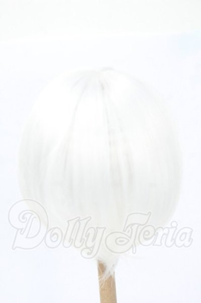 画像2: 8-9inch/ウィッグ Y-26-03-11-091-WT-ZY (2)