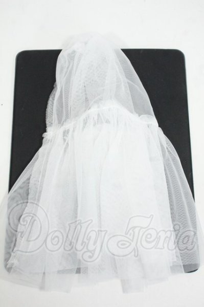 画像1: SDM＆MSD/OF:小物 Y-26-03-25-007-WT-ZY (1)