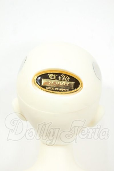 画像4: SDM/フルチョイス:F-45 aone様メイク Y-26-04-01-091-WT-ZY (4)