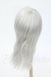 画像2: 6inch/ウィッグ Y-26-04-08-350-WT-ZY (2)