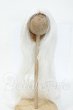 画像1: 8-9inch/ウィッグ Y-26-04-08-349-WT-ZY (1)