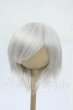 画像1: 9inch/ウィッグ Y-26-04-15-105-WT-ZY (1)