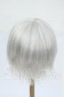 画像2: 9inch/ウィッグ Y-26-04-15-105-WT-ZY (2)