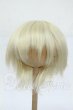 画像1: 9inch/ウィッグ Y-26-04-15-106-WT-ZY (1)