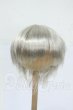 画像1: 9inch/ウィッグ Y-26-04-15-110-WT-ZY (1)