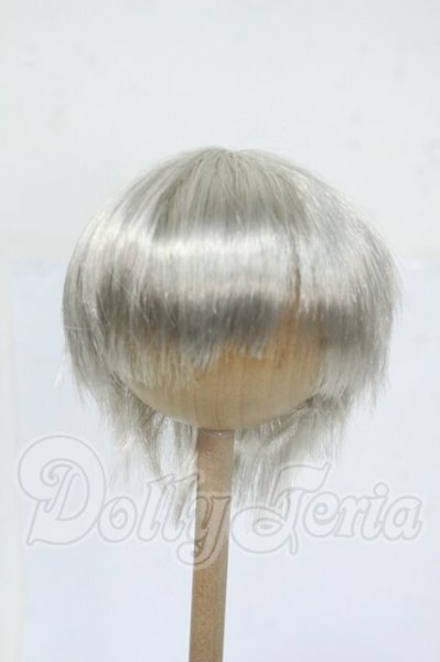 画像1: 9inch/ウィッグ Y-26-04-15-110-WT-ZY (1)