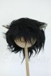 画像1: 9-10inch/ウィッグ Y-26-04-15-120-WT-ZY (1)