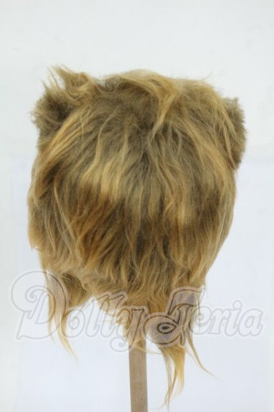 画像2: 9-10inch/ウィッグ Y-26-04-15-117-WT-ZY (2)