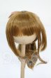 画像1: 8-9inch/ウィッグ Y-26-04-08-237-WT-ZY (1)