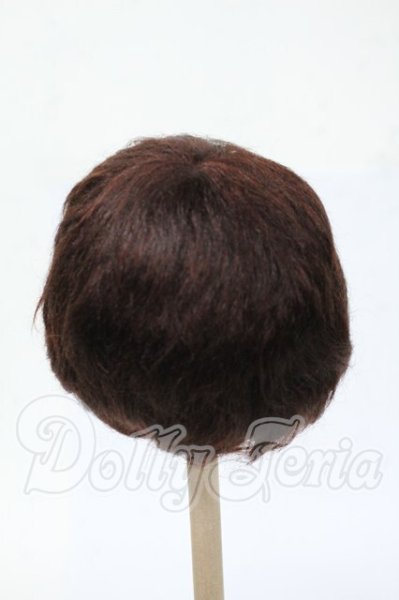 画像2: 8-9inch/ウィッグ Y-26-04-08-329-WT-ZY (2)