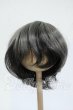 画像1: 8-9inch/ウィッグ Y-26-04-15-034-WT-ZY (1)