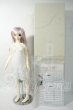 画像6: SD女の子/フルチョイス: F-09 Aone様メイク Y-26-04-22-002-WT-ZY (6)