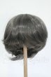 画像1: 9-10inch/ウィッグ Y-26-04-22-033-WT-ZY (1)