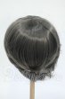 画像2: 9-10inch/ウィッグ Y-26-04-22-033-WT-ZY (2)