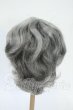 画像2: 9-10inch/ウィッグ Y-26-04-22-034-WT-ZY (2)