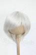 画像1: 8-9inch/ウィッグ Y-26-05-08-064-WT-ZY (1)
