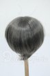 画像2: 8-9inch/ウィッグ Y-26-05-08-023-WT-ZY (2)