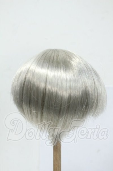 画像2: 8-9inch/ウィッグ Y-26-05-08-258-WT-ZY (2)