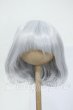 画像1: 8-9inch/ウィッグ Y-26-05-08-251-WT-ZY (1)