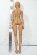 画像6: DOLLFIE ICON/Terra 2020 COLOR Y-26-05-15-001-WT-ZY (6)