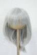 画像1: 8-9inch/ウィッグ Y-26-05-15-031-WT-ZY (1)