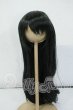 画像1: 8-9inch/インソムニア製:ウィッグ Y-26-05-15-247-WT-ZY (1)