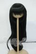 画像1: 8-9inch/インソムニア製:ウィッグ Y-26-05-15-246-WT-ZY (1)