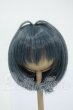 画像1: 8-9inch/インソムニア製:ウィッグ Y-26-05-15-251-WT-ZY (1)