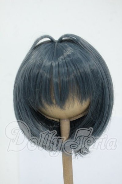画像1: 8-9inch/インソムニア製:ウィッグ Y-26-05-15-251-WT-ZY (1)